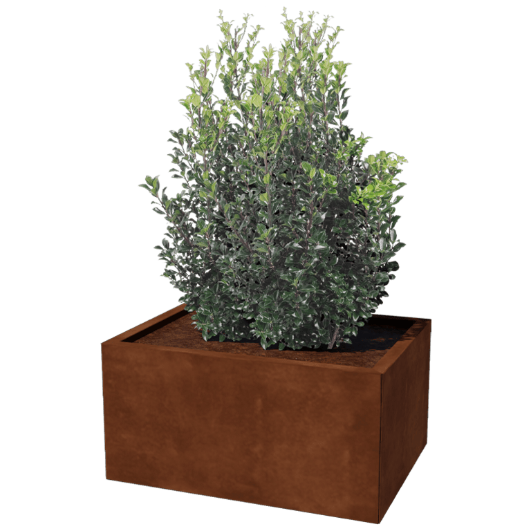 Ζαρντινιέρα από χάλυβα corten Τέξας 60 x 80 cm