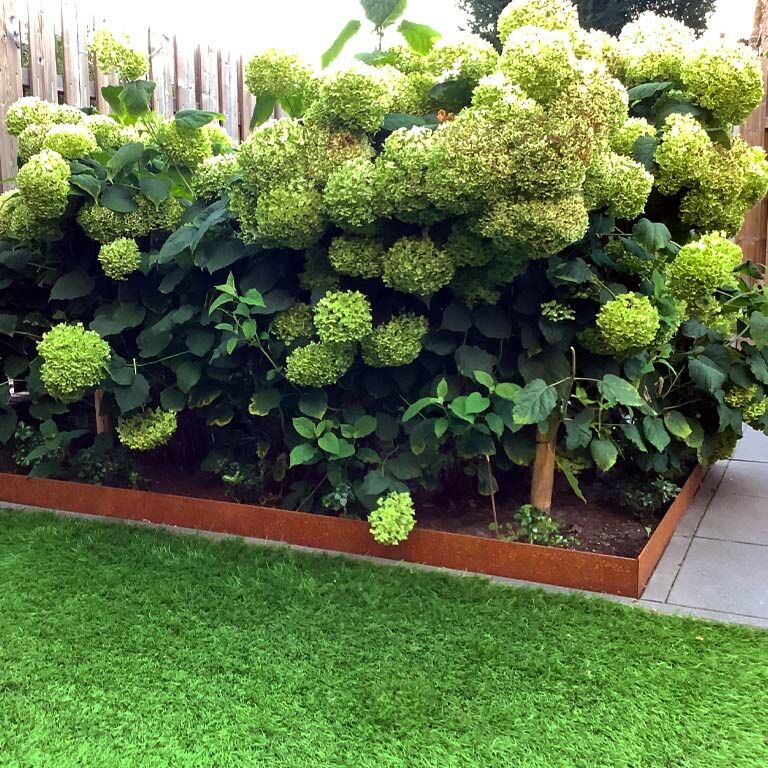 Χωρίσματα γκαζόν από ατσάλι corten επίπεδο 13 cm (μήκος 150 cm)