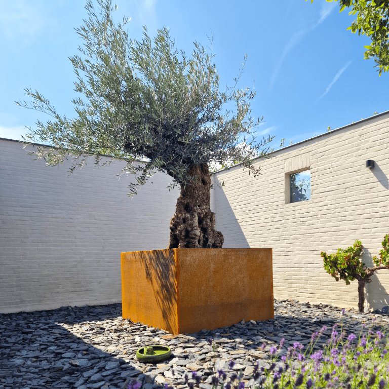 Συγκολλημένη ζαρντινιέρα από ατσάλι corten Montana 120 x 120 x 80 cm