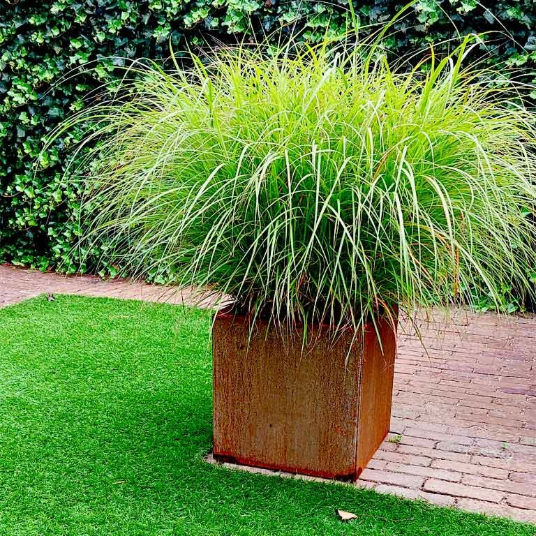Ζαρντινιέρα από χάλυβα corten Μαϊάμι 40 x 40 cm