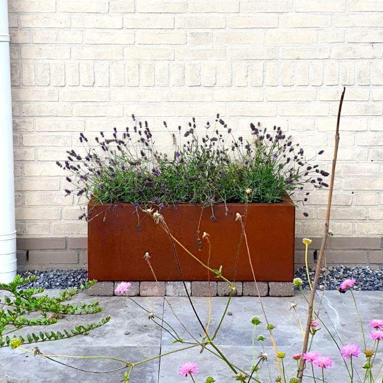 Ζαρντινιέρα από χάλυβα corten Τέξας 30 x 80 cm