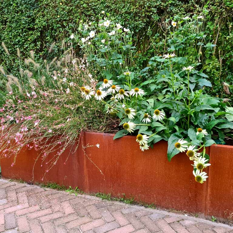 Ζαρντινιέρα από χάλυβα corten Texas xxl 300 x 80 cm