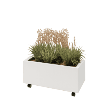 Ζαρντινιέρα από χάλυβα - Ορθογώνιο - 80 x 40 x 30 cm - RAL9010 ματ (λευκό) - Με πλάκα βάσης - Με τροχούς