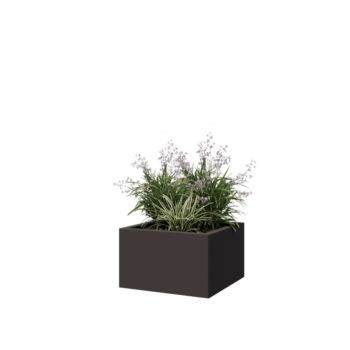 Ζαρντινιέρα από χάλυβα - Τετράγωνο - 50 x 50 x 30 cm - RAL7016 ματ (ανθρακί γκρι) - Με πλάκα βάσης