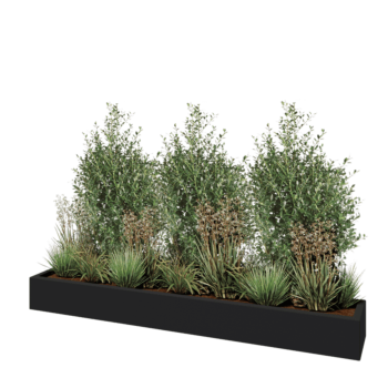 πολυεστερική γλάστρα - Ορθογώνιο - 200 x 30 x 20 cm - RAL7021 ματ (μαύρο γκρι) - Με βάση