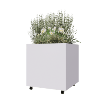 Ζαρντινιέρα από χάλυβα - Τετράγωνο - 80 x 80 x 80 cm - RAL9010 ματ (λευκό) - Με πλάκα βάσης - Με τροχούς