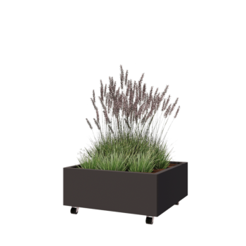 Ζαρντινιέρα από χάλυβα - Τετράγωνο - 80 x 80 x 30 cm - RAL7016 ματ (ανθρακί γκρι) - Με πλάκα βάσης - Με τροχούς