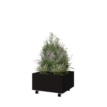 Ζαρντινιέρα από χάλυβα - Τετράγωνο - 60 x 60 x 30 cm - RAL9005 ματ (μαύρο) - Με πλάκα βάσης - Με τροχούς