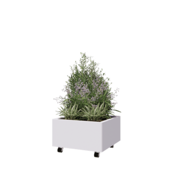 Ζαρντινιέρα από χάλυβα - Τετράγωνο - 60 x 60 x 30 cm - RAL9010 ματ (λευκό) - Με πλάκα βάσης - Με τροχούς