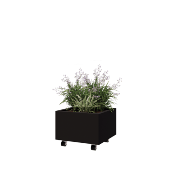 Ζαρντινιέρα από χάλυβα - Τετράγωνο - 50 x 50 x 30 cm - RAL9005 ματ (μαύρο) - Με πλάκα βάσης - Με τροχούς