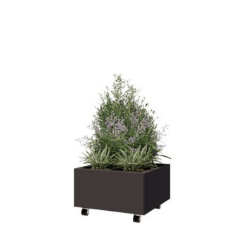 Ζαρντινιέρα από χάλυβα - Τετράγωνο - 60 x 60 x 30 cm - RAL7016 ματ (ανθρακί γκρι) - Με πλάκα βάσης - Με τροχούς