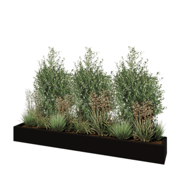 πολυεστερική γλάστρα - Ορθογώνιο - 200 x 30 x 20 cm - RAL9005 ματ (μαύρο) - Με βάση