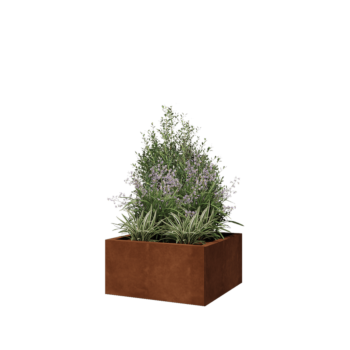 Ζαρντινιέρα από χάλυβα Corten - Τετράγωνο - 60 x 60 x 30 cm - Με πλάκα βάσης