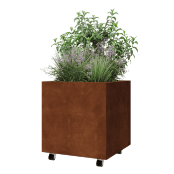 Ζαρντινιέρα από χάλυβα Corten - Τετράγωνο - 60 x 60 x 60 cm - Με πλάκα βάσης - Με τροχούς