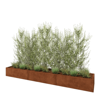 Ζαρντινιέρα XXL από χάλυβα Corten - Ορθογώνιο - 300 x 50 x 30 cm - Χωρίς πλάκα βάσης