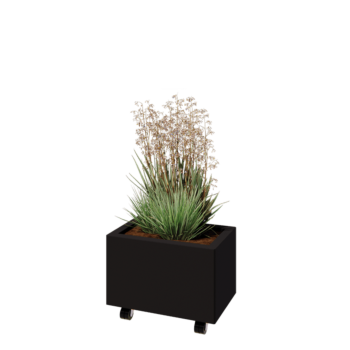 Ζαρντινιέρα από χάλυβα - Ορθογώνιο - 50 x 30 x 30 cm - RAL9005 ματ (μαύρο) - Με πλάκα βάσης - Με τροχούς