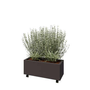 Ζαρντινιέρα από χάλυβα - Ορθογώνιο - 80 x 30 x 30 cm - RAL7016 ματ (ανθρακί γκρι) - Με πλάκα βάσης - Με τροχούς