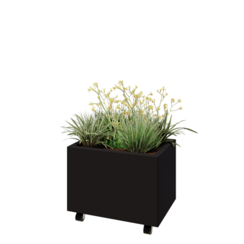 Ζαρντινιέρα από χάλυβα - Ορθογώνιο - 60 x 40 x 40 cm - RAL9005 ματ (μαύρο) - Με πλάκα βάσης - Με τροχούς