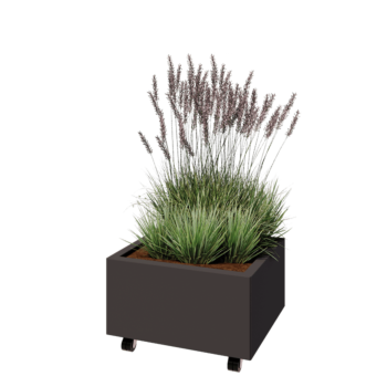 Ζαρντινιέρα από χάλυβα - Ορθογώνιο - 60 x 50 x 30 cm - RAL7016 ματ (ανθρακί γκρι) - Με πλάκα βάσης - Με τροχούς