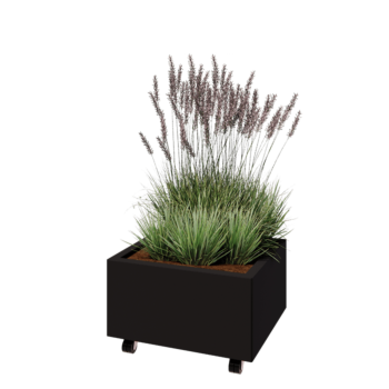 Ζαρντινιέρα από χάλυβα - Ορθογώνιο - 60 x 50 x 30 cm - RAL9005 ματ (μαύρο) - Με πλάκα βάσης - Με τροχούς