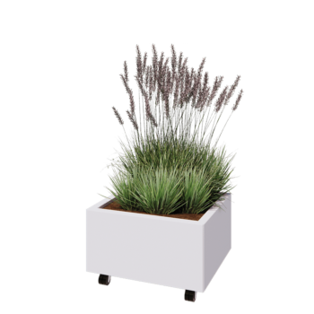 Ζαρντινιέρα από χάλυβα - Ορθογώνιο - 60 x 50 x 30 cm - RAL9010 ματ (λευκό) - Με πλάκα βάσης - Με τροχούς