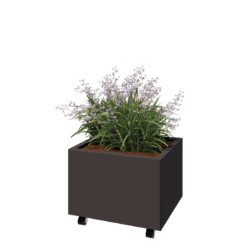 Ζαρντινιέρα από χάλυβα - Ορθογώνιο - 60 x 50 x 40 cm - Άλλο χρώμα RAL - Με πλάκα βάσης - Με τροχούς