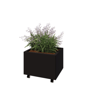 Ζαρντινιέρα από χάλυβα - Ορθογώνιο - 60 x 50 x 40 cm - RAL9005 ματ (μαύρο) - Με πλάκα βάσης - Με τροχούς
