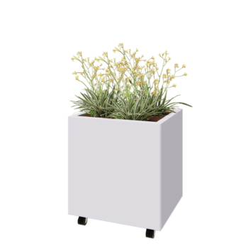 Ζαρντινιέρα από χάλυβα - Ορθογώνιο - 60 x 50 x 60 cm - RAL9010 ματ (λευκό) - Με πλάκα βάσης - Με τροχούς
