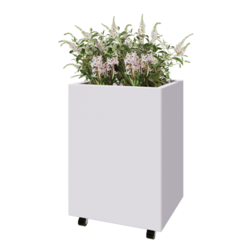 Ζαρντινιέρα από χάλυβα - Ορθογώνιο - 60 x 50 x 80 cm - RAL9010 ματ (λευκό) - Με πλάκα βάσης - Με τροχούς