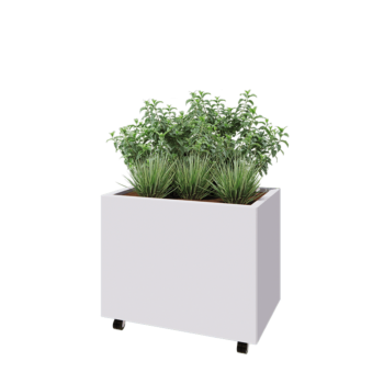 Ζαρντινιέρα από χάλυβα - Ορθογώνιο - 80 x 50 x 60 cm - RAL9010 ματ (λευκό) - Με πλάκα βάσης - Με τροχούς