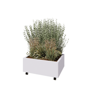 Ζαρντινιέρα από χάλυβα - Ορθογώνιο - 80 x 60 x 30 cm - RAL9010 ματ (λευκό) - Με πλάκα βάσης - Με τροχούς