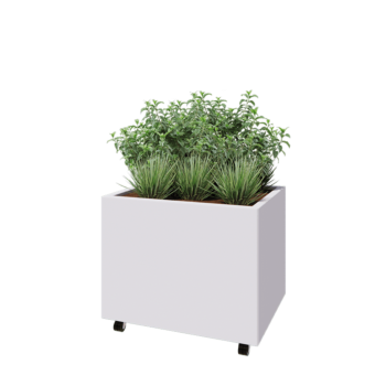 Ζαρντινιέρα από χάλυβα - Ορθογώνιο - 80 x 60 x 60 cm - RAL9010 ματ (λευκό) - Με πλάκα βάσης - Με τροχούς