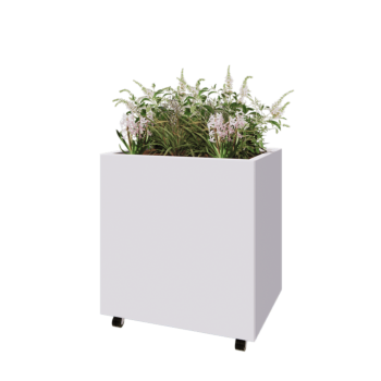 Ζαρντινιέρα από χάλυβα - Ορθογώνιο - 80 x 60 x 80 cm - RAL9010 ματ (λευκό) - Με πλάκα βάσης - Με τροχούς