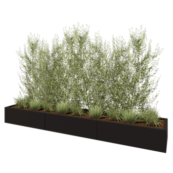 Ζαρντινιέρα XXL από χάλυβα - Ορθογώνιο - 300 x 50 x 30 cm - RAL9005 ματ (μαύρο) - Με πλάκα βάσης