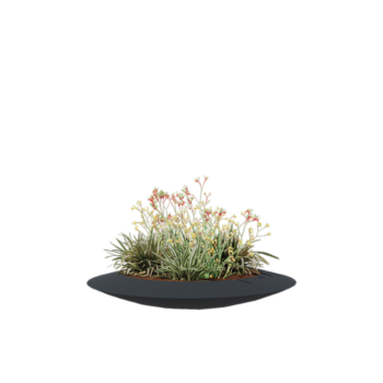 πολυεστερική γλάστρα - Μπολ - Ø 120 x 20 cm - RAL7021 ματ (μαύρο γκρι) - Με βάση