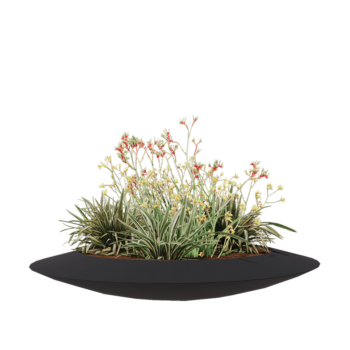 πολυεστερική γλάστρα - Μπολ - Ø 120 x 20 cm - RAL7021 ματ (μαύρο γκρι) - Με βάση