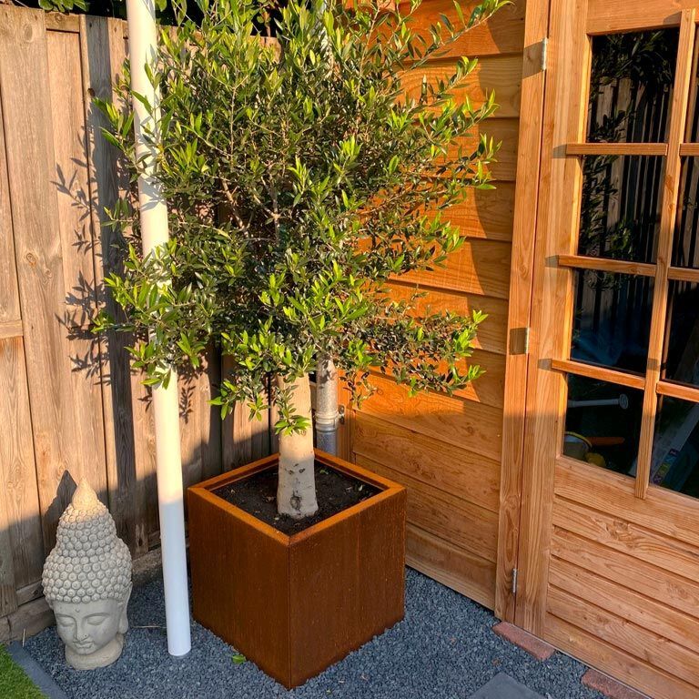 Ζαρντινιέρα από χάλυβα corten Μαϊάμι 50 x 50 cm