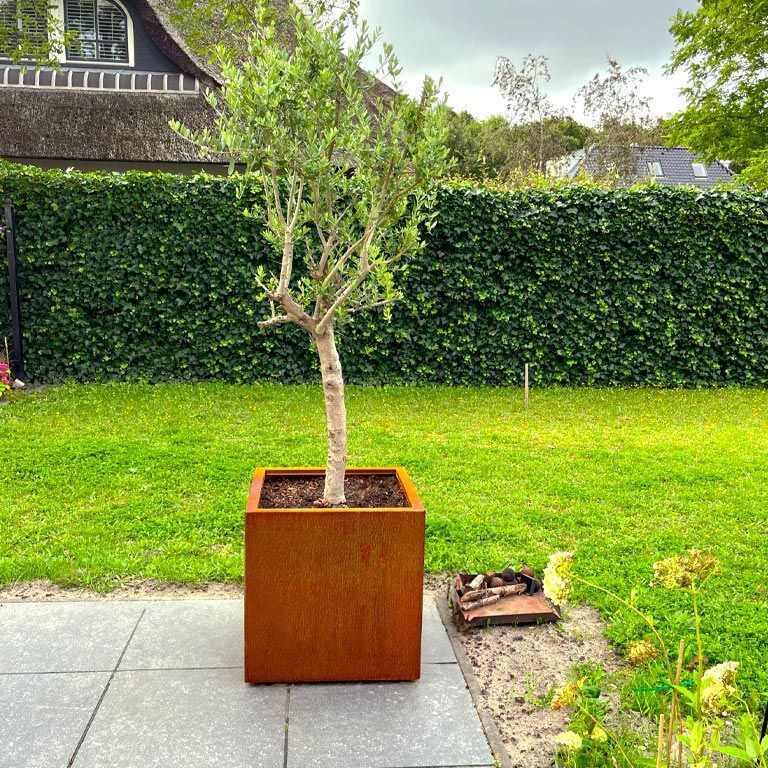 Ζαρντινιέρα από χάλυβα corten Μαϊάμι 60 x 60 cm