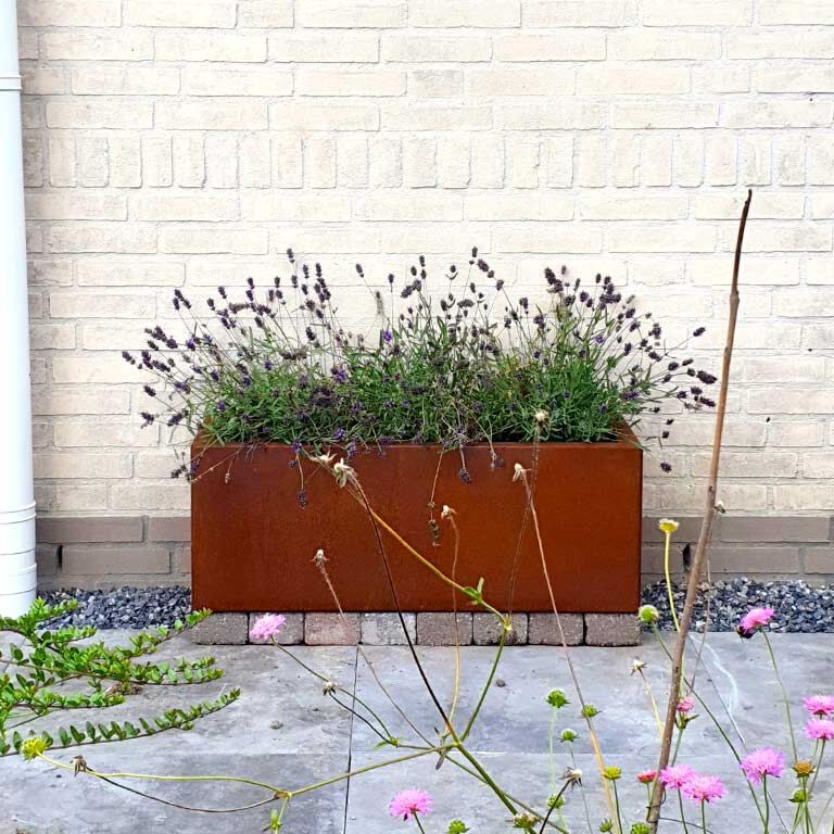 Ζαρντινιέρα από χάλυβα corten Τέξας 30 x 80 cm