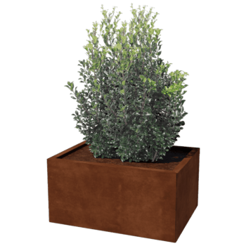 Ζαρντινιέρα από χάλυβα corten Τέξας 60 x 80 cm