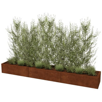 Ζαρντινιέρα από χάλυβα corten Texas xxl 300 x 50 cm
