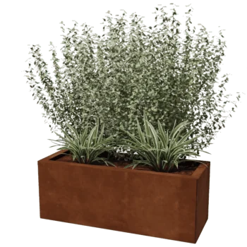 Ζαρντινιέρα από χάλυβα Corten - Ορθογώνιο - 30 x 80 cm