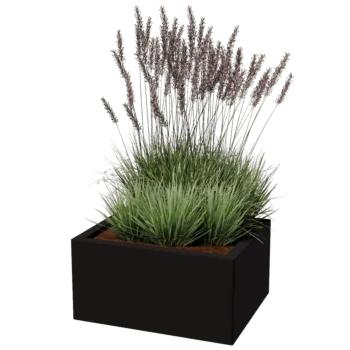 Ζαρντινιέρα από χάλυβα - Ορθογώνιο - 50 x 60 cm