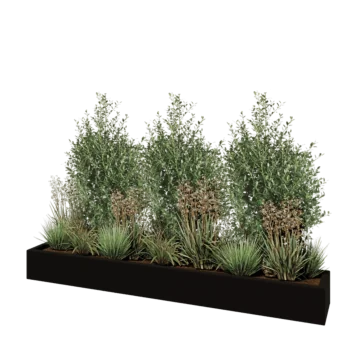 πολυεστερική γλάστρα - Ορθογώνιο - 200 x 30 x 20 cm - RAL9005 ματ (μαύρο) - Με βάση