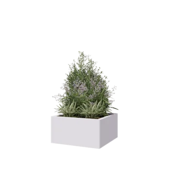 Ζαρντινιέρα από χάλυβα - Τετράγωνο - 60 x 60 x 30 cm - RAL9010 ματ (λευκό) - Με πλάκα βάσης