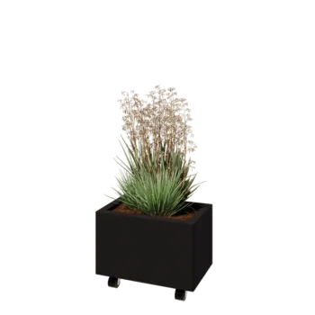 Ζαρντινιέρα από χάλυβα - Ορθογώνιο - 50 x 30 x 30 cm - RAL9005 ματ (μαύρο) - Με πλάκα βάσης - Με τροχούς