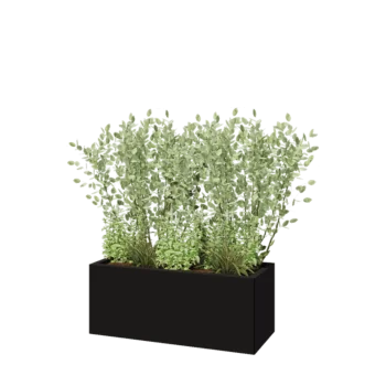 Ζαρντινιέρα από χάλυβα - Ορθογώνιο - 100 x 40 x 40 cm - RAL9005 ματ (μαύρο) - Με πλάκα βάσης