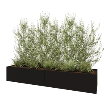 Ζαρντινιέρα XXL από χάλυβα - Ορθογώνιο - 240 x 60 x 40 cm - RAL9005 ματ (μαύρο) - Χωρίς πλάκα βάσης