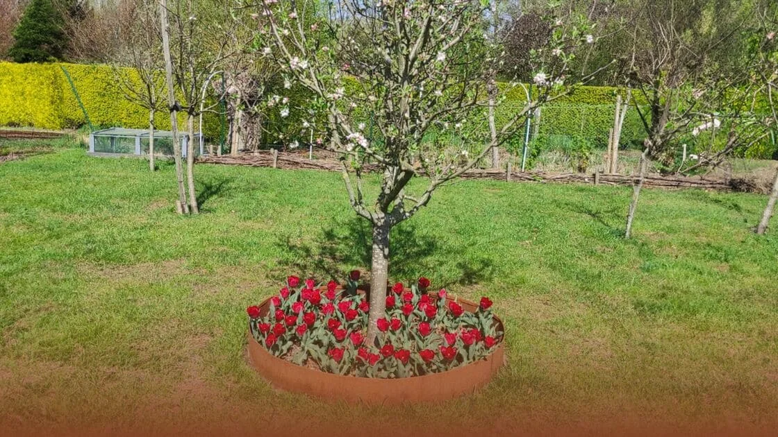 Πώς να φτιάξετε ένα περίγραμμα γύρω από ένα δέντρο;