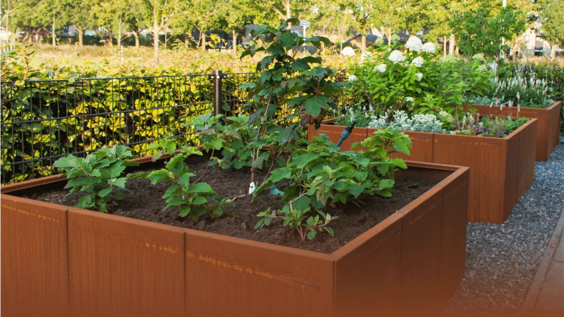 Οδηγός Cortenstaal: όλα όσα πρέπει να γνωρίζετε για αυτό το υλικό